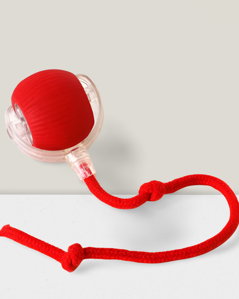 Paww Vibe™Self-Rolling Cat Toy Ball – Interactive Motion Cat Toy for Active Indoor Cats